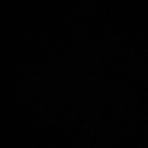 Meet your Posher, Bailey